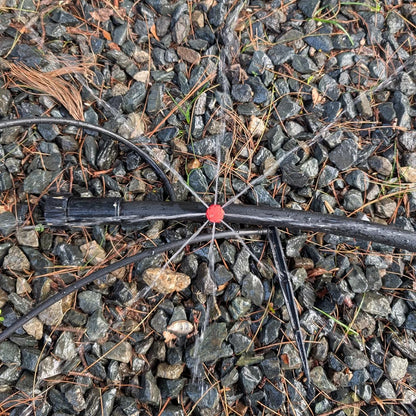 Tropfbewässerungssystem mit rotem Tropfer auf einer Gartenfläche
