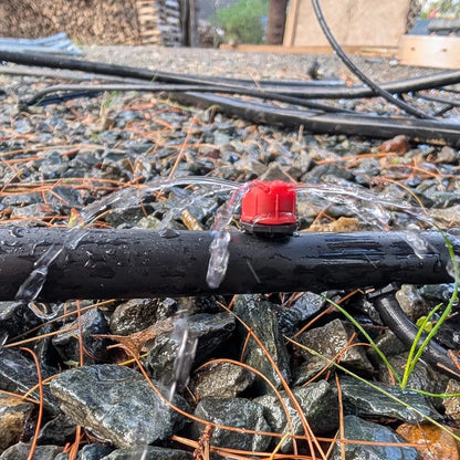 Tropfbewässerungssystem mit einstellbarem Tropfer am Bewässerungsschlauch