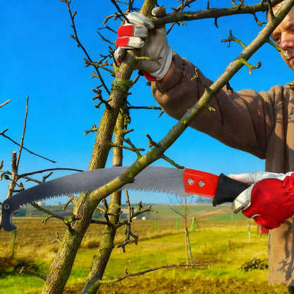Teleskop-Gartensäge im Einsatz beim Baumschnitt ohne Leiter