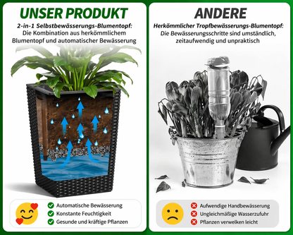 Selbstbewässernde Blumentöpfe mit praktischer Wasserstandsanzeige im Detail