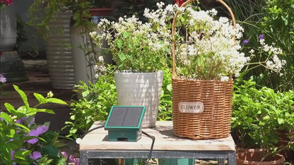 Solar Tropfbewässerungssystem automatisch für Balkon & Garten